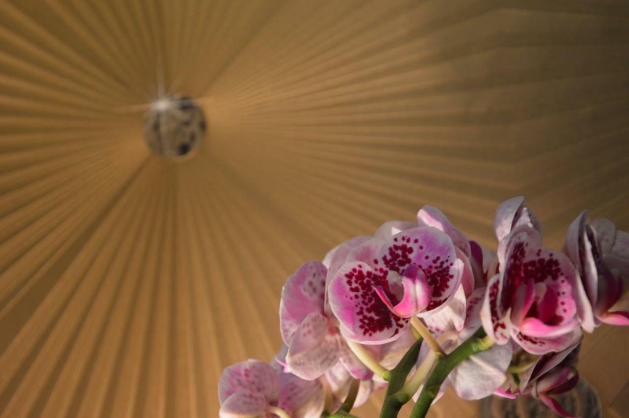 My-Lord Luxapartman Eger Ngoại thất bức ảnh